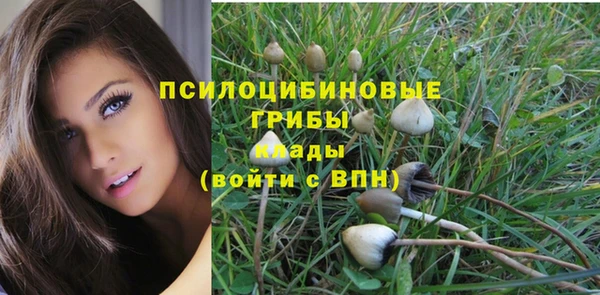 дмт Армянск