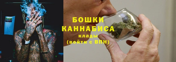 гидра Арсеньев