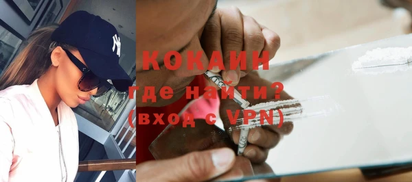 гидра Арсеньев