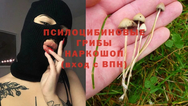 дмт Армянск