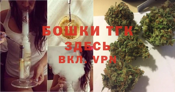 гидра Арсеньев