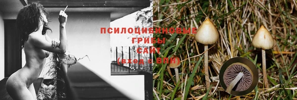 дмт Армянск
